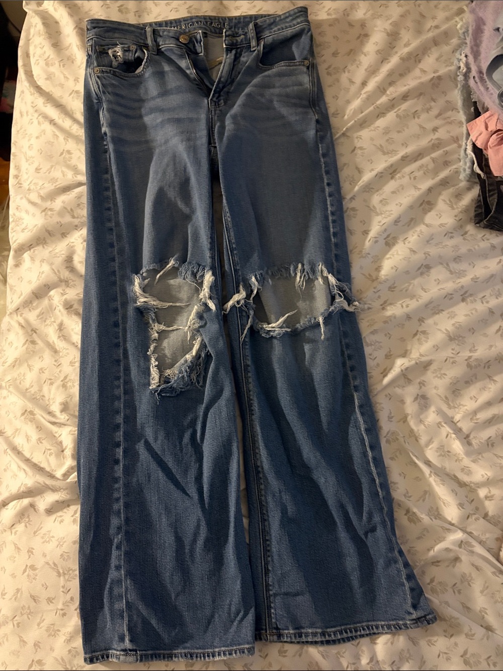 American Eagle Outfitters Frayed Knee Wide-Leg Jeans in Blue